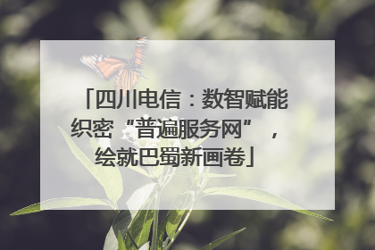 四川电信：数智赋能织密“普遍服务网”，绘就巴蜀新画卷